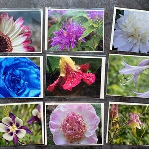 5x7 flower Photos
